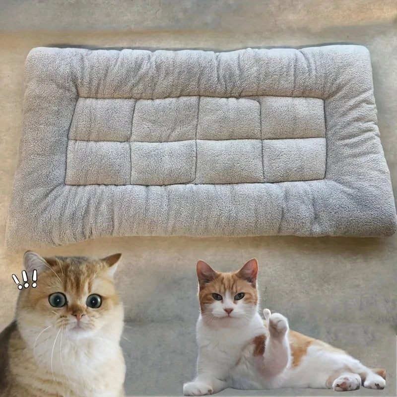 Cama Sofá Premium para Perros: Extra Suave, Acolchada y Confort Total