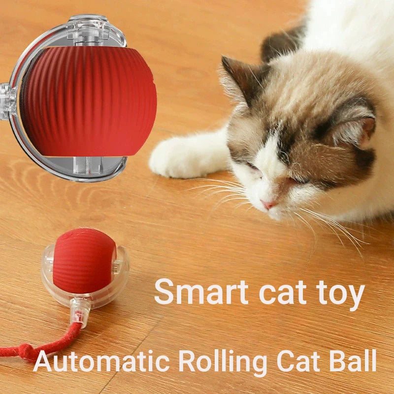 Pelota Inteligente para Gatos: Movimiento Automático, Recargable y Anti-Obstáculos