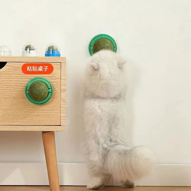 Bola de Catnip Giratoria para Pared: Premio Natural y Saludable para Gatos